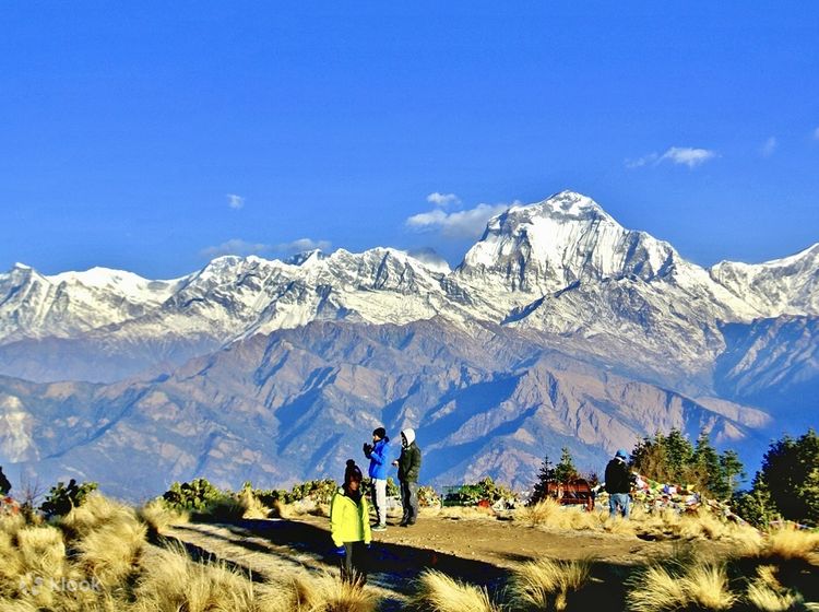 From Pokhara: 4 Day Annapurna Poon Hill Trek